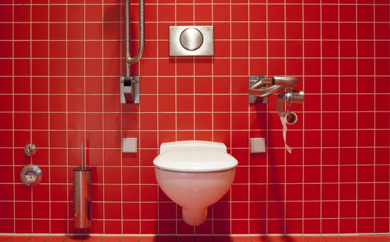 Disabled toilet - Free for commercial use No attribution required - Credit Pixabay